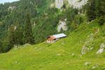 2014-07-05_Laengental-N-Hochweg (893). JPG